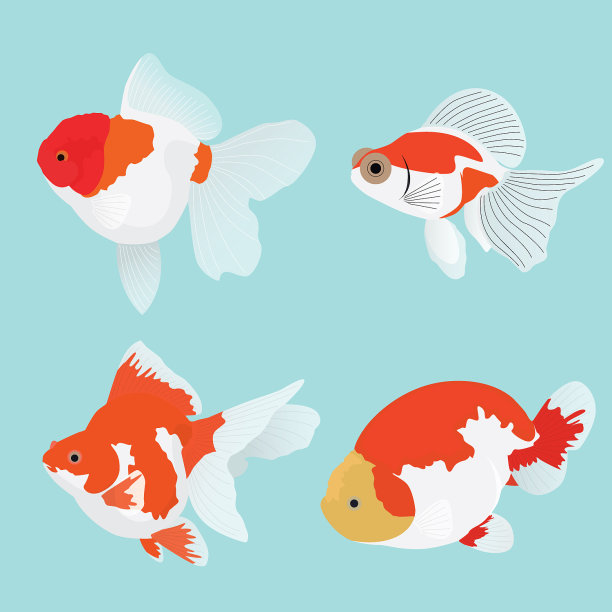 carassius