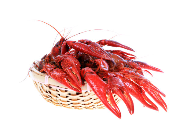 crawdad
