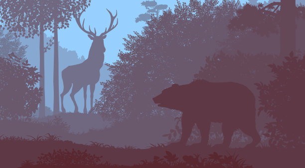 wildlife