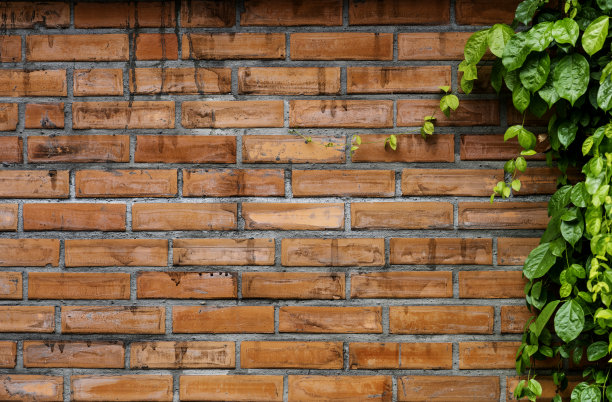 环保砖墙素材