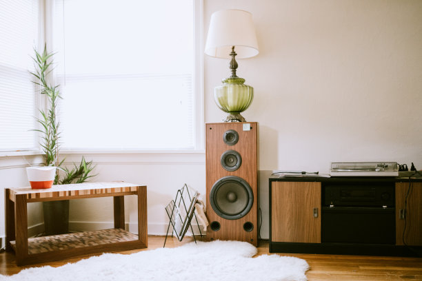 speaker