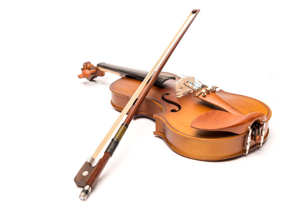 violin