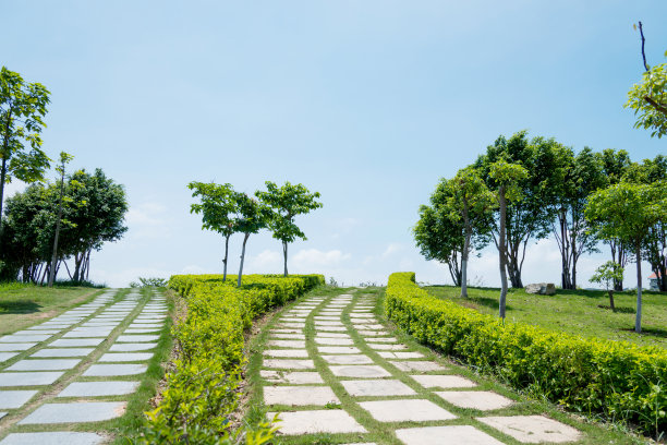 步行道路