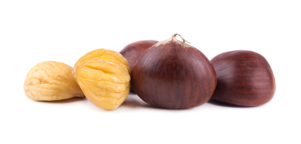 chestnut