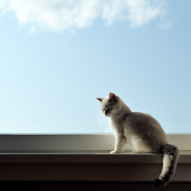 sill