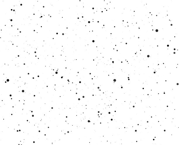 spot