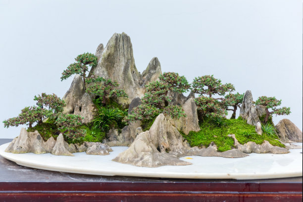 bonsai