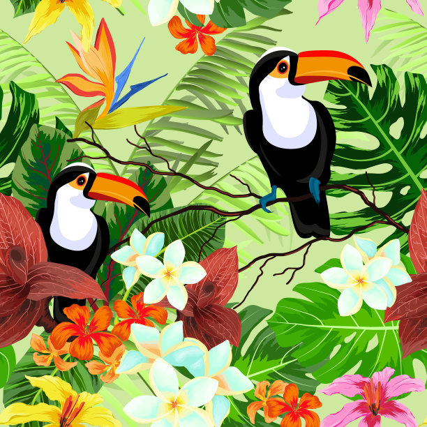 热带雨林与花卉叶子和鸟