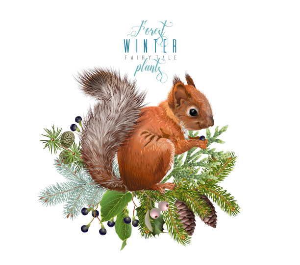 squirrel