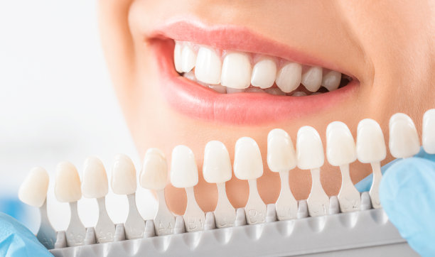 teeth
