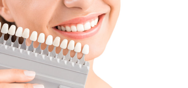 teeth