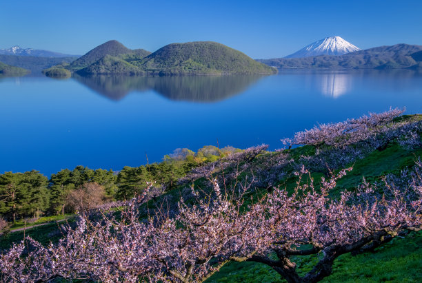 落雪梅花