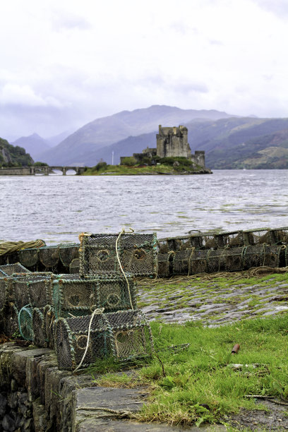 donan