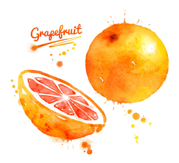 葡萄柚图片