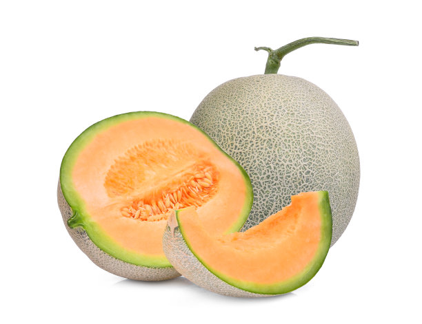 cantaloupe