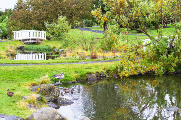 ponds