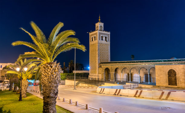 突尼斯市