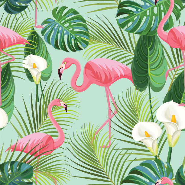 flamingo