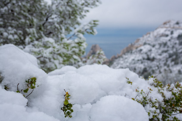 马赛,法国,雪