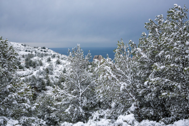 马赛,法国,雪