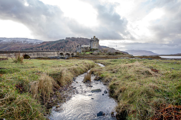 donan