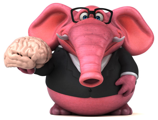 brain
