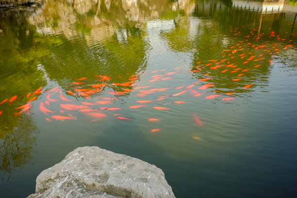 溪流水潭