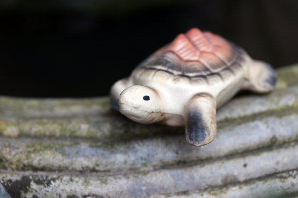 陶瓷乌龟