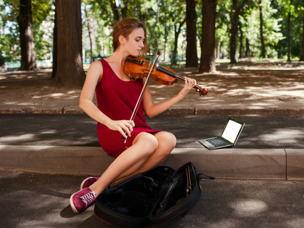 violin