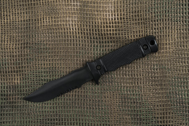 sas