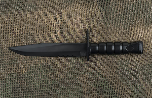 sas