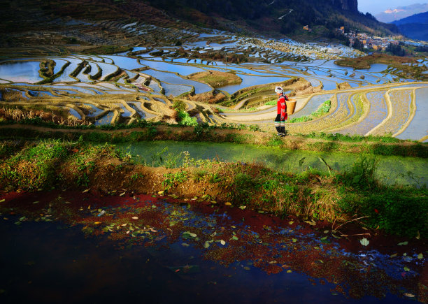 农村劳动场景