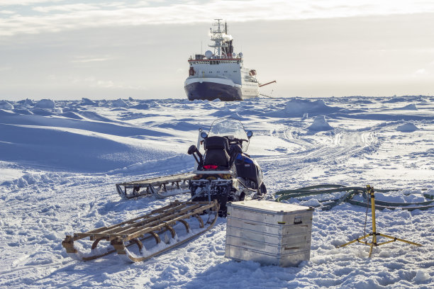 arctic
