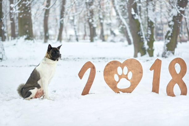 恭祝新年