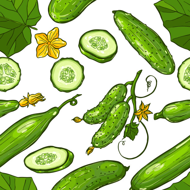 cucumber