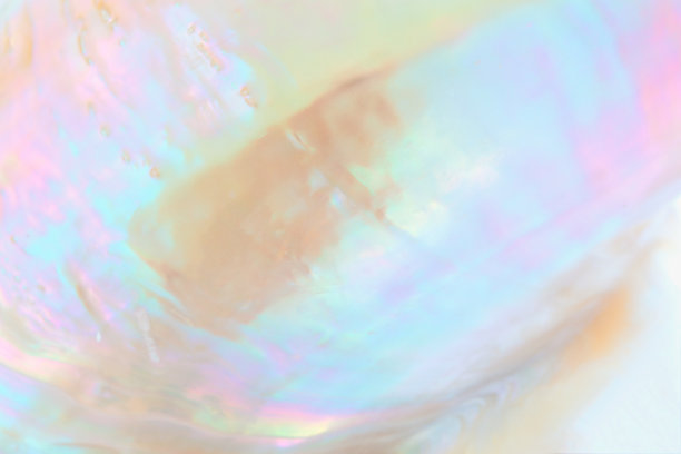 shells