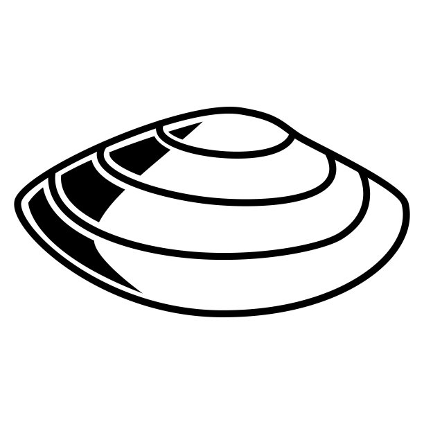 tridacna