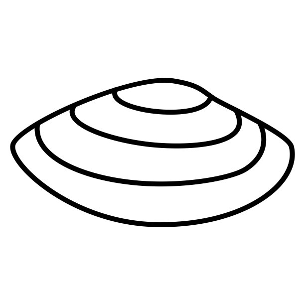 tridacna