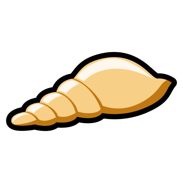 conch