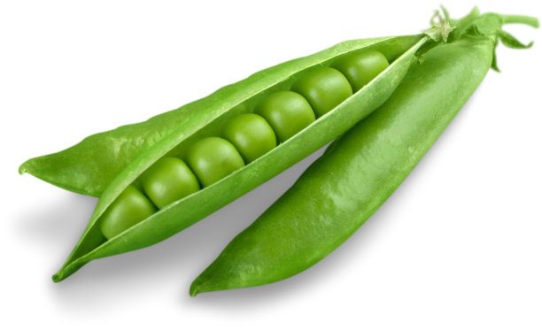 pod