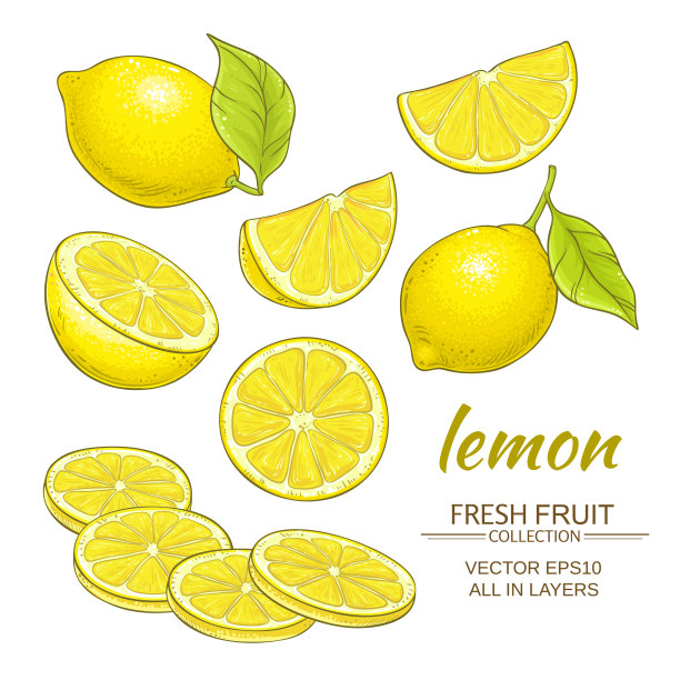 illustrations