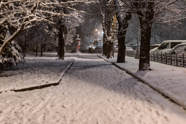 下雪后的公园