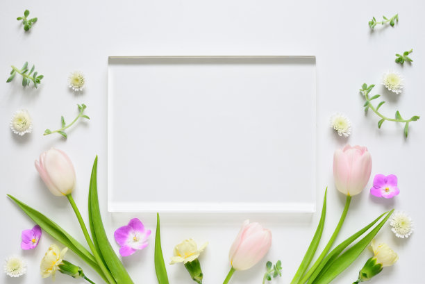 母亲节模板_ppt模板_word文档_表格模板下载_docer稻壳儿官网