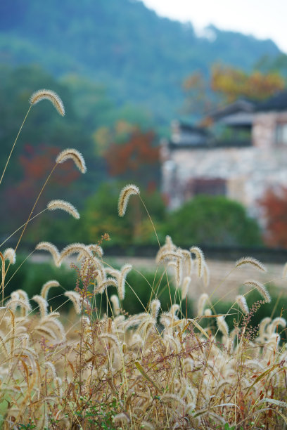 田园风格庭院