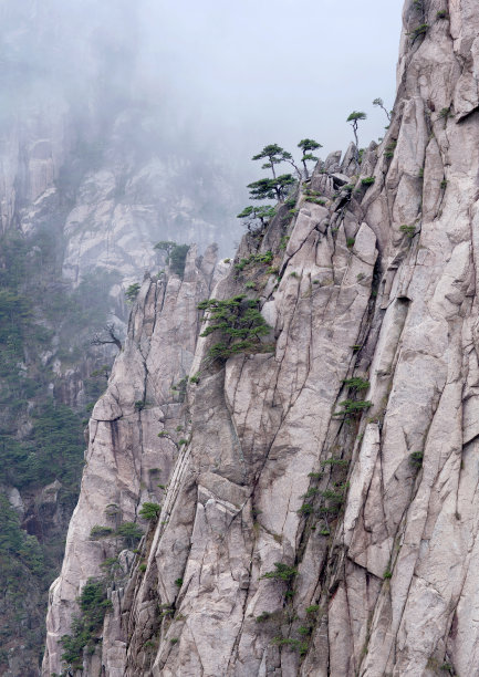 松林山顶