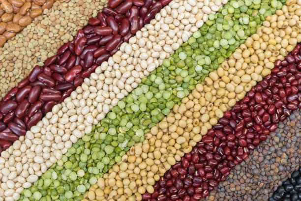 legume