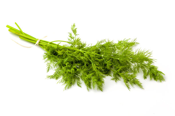 dill