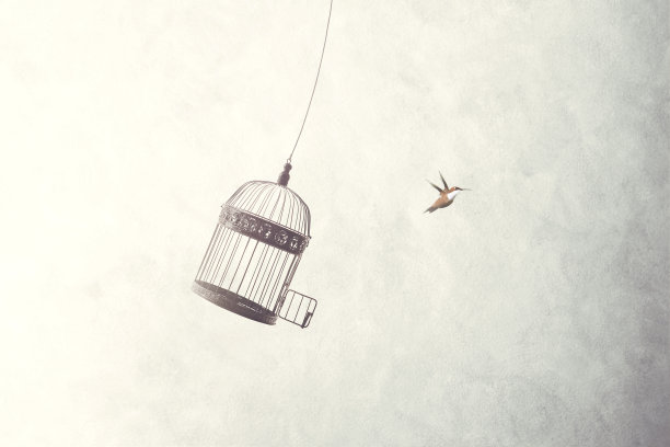 freedom