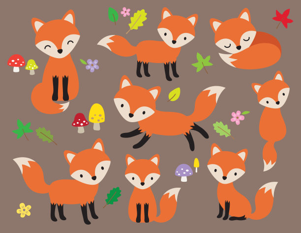 fox