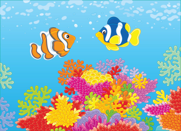 anemonefish